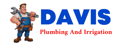 Trusted plumber in MACKS INN